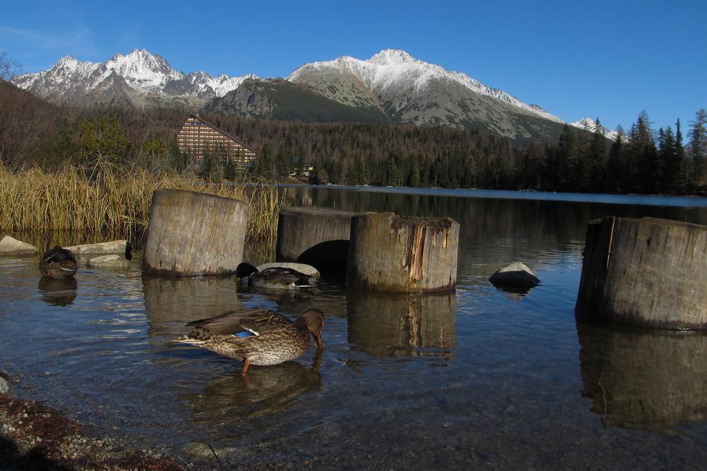 Apartman Strbske Pleso - Crocus 219 Værelse billede